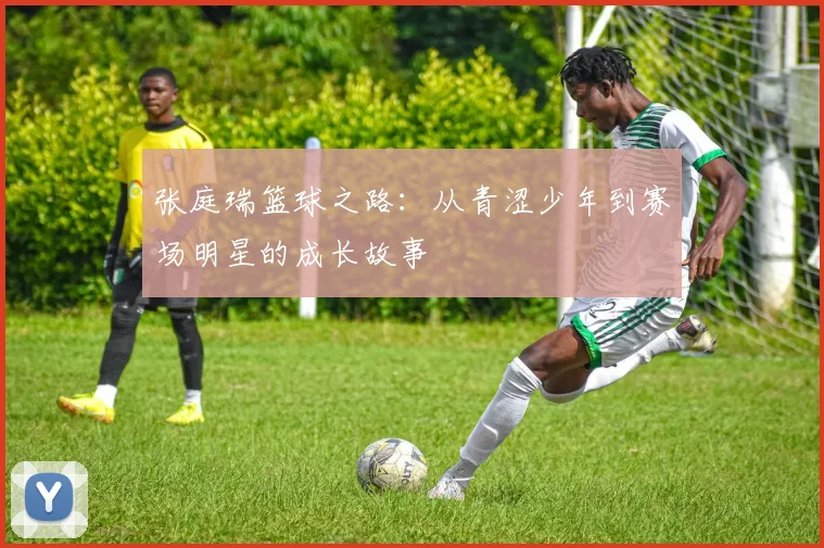 张庭瑞篮球之路：从青涩少年到赛场明星的成长故事