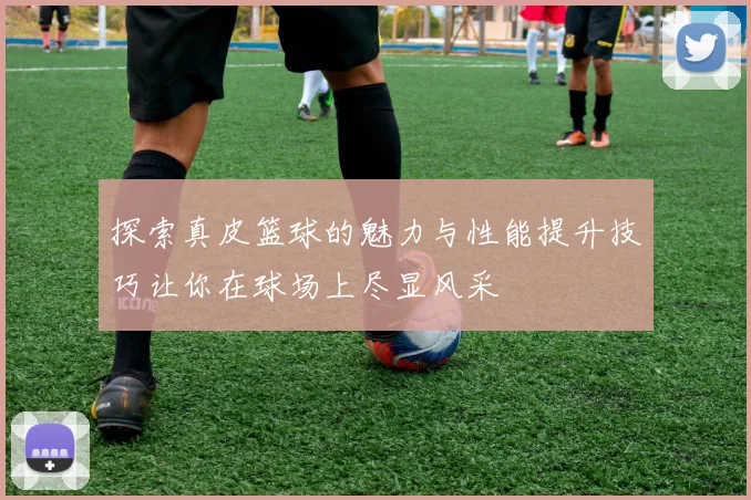 探索真皮篮球的魅力与性能提升技巧让你在球场上尽显风采